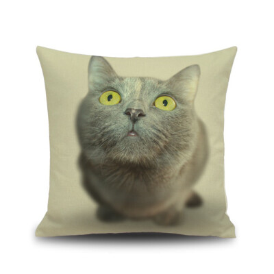 45x45cm 3D Printing Cat Eyes Faces Throw Pillow Case Sofa Car Zippered Pillow Cushion Cover
45x45cm 3D Printing Cat Eyes Faces Throw Pillow Case Sofa Car Zippered Pillow Cushion Cover