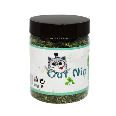 Cat Natural Mint Toy Organic Premium Mint Cleansing Nutrition Dry Cat Funny Toys 280ML
Cat Natural Mint Toy Organic Premium Mint Cleansing Nutrition Dry Cat Funny Toys 280ML