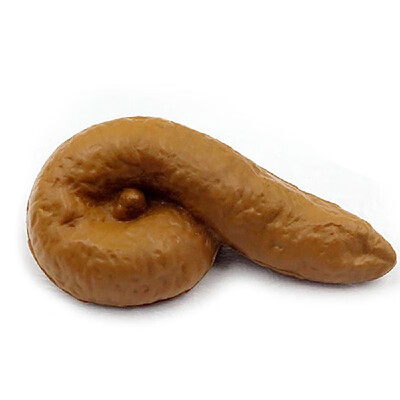 High Imitation Realistic Shits Poops Fake Human Poop Funny Gadgets Joke Tricky Toy April Fools Day Props Prank Toy
High Imitation Realistic Shits Poops Fake Human Poop Funny Gadgets Joke Tricky Toy April Fools Day Props Prank Toy