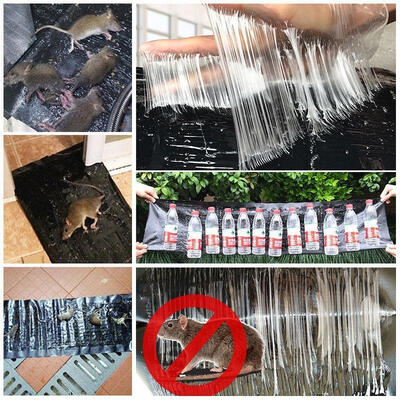 Hot Sale Big Size Mice Mouse Rodent Glue Traps Board Super Sticky Rat Snake Bugs Sticky Board
Hot Sale Big Size Mice Mouse Rodent Glue Traps Board Super Sticky Rat Snake Bugs Sticky Board