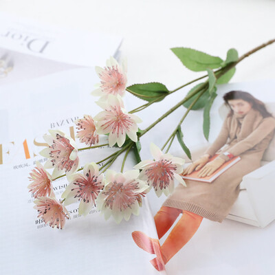 Gobestart Artificial Flower Snow Lotus 3D Printing Color Fake Flower Home Decoration
Gobestart Artificial Flower Snow Lotus 3D Printing Color Fake Flower Home Decoration