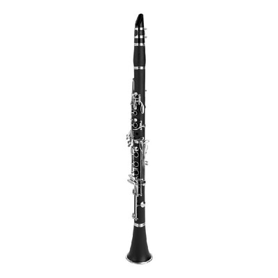 Black Clarinet ABS 17 Key bB Flat Soprano Clarinet with Cleaning Cloth Gloves Reed Screwdriver Case Woodwind Instrument
Black Clarinet ABS 17 Key bB Flat Soprano Clarinet with Cleaning Cloth Gloves Reed Screwdriver Case Woodwind Instrument