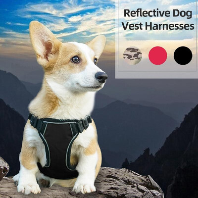 Dog Vest Harnesses Reflective Service Dog Harness Adjustable Service Dog Vest for Outdoor Walking
Dog Vest Harnesses Reflective Service Dog Harness Adjustable Service Dog Vest for Outdoor Walking