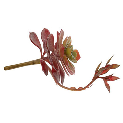 Simulation Succulent Plant Plastic Greenery Flowers Decoration 3D Potted Bonsai Ornaments
Simulation Succulent Plant Plastic Greenery Flowers Decoration 3D Potted Bonsai Ornaments