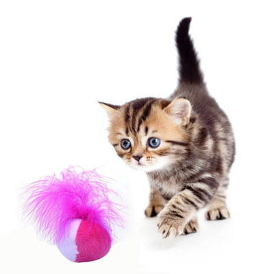 Catnip Cat Toys Sound Ball Hair Ring Bell Teaser Pet Toy For Cats Supplies Kitten Interactive Fun Dog Feather Funny Pet Cat Toy
Catnip Cat Toys Sound Ball Hair Ring Bell Teaser Pet Toy For Cats Supplies Kitten Interactive Fun Dog Feather Funny Pet Cat Toy