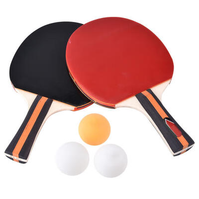 Greensen 2pcs Professional Training Table Bat Tennis Portable Ping Pong Racket Set with Bag & 3 Balls
Greensen 2pcs Professional Training Table Bat Tennis Portable Ping Pong Racket Set with Bag & 3 Balls