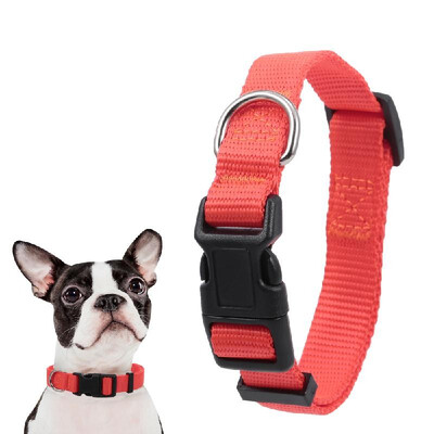 Dog Collar Pet Collar Dog Adjustable Collar Nylon Dog Collar For Small Medium Large Dogs
Dog Collar Pet Collar Dog Adjustable Collar Nylon Dog Collar For Small Medium Large Dogs