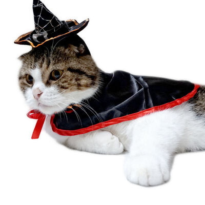 Cute Cosplay Pet ClothesCat Small Dog Party Costume Pet Clothing For Holiday Dressing Up Party
Cute Cosplay Pet ClothesCat Small Dog Party Costume Pet Clothing For Holiday Dressing Up Party