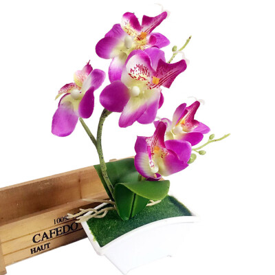 JPGIF Double Fork Butterfly Orchid Plant Bonsai Creative Flower Arranging Accessories
JPGIF Double Fork Butterfly Orchid Plant Bonsai Creative Flower Arranging Accessories