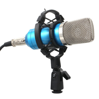 Professional BM700 Condenser Microphone Mic KTV Singing Studio Recording Kit BlackGolden
Professional BM700 Condenser Microphone Mic KTV Singing Studio Recording Kit BlackGolden