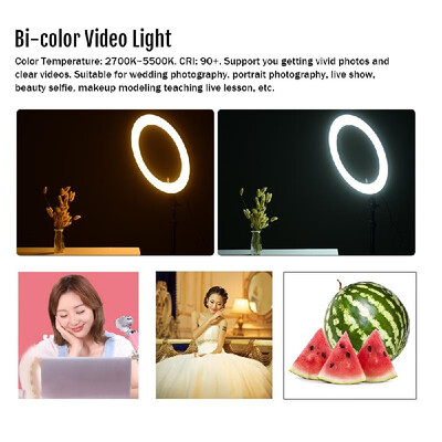 ZOMEI 18 Inch 2700-5500K Bi-color Dimmable Ring Video Light LED Fill Light CRI 90 with Mini Ball Head Phone Holder Carrying Bag
ZOMEI 18 Inch 2700-5500K Bi-color Dimmable Ring Video Light LED Fill Light CRI 90 with Mini Ball Head Phone Holder Carrying Bag