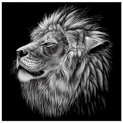 DIY Diamond Painting cross stitch Lion Animal embroidery home decor Rhinestone mosaic needlework Canvas size 3030 round diamond
DIY Diamond Painting cross stitch Lion Animal embroidery home decor Rhinestone mosaic needlework Canvas size 3030 round diamond