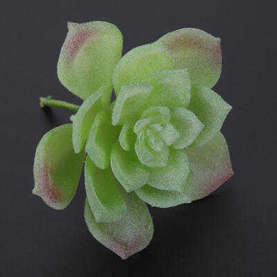 Greensen Artificial Succulent Plant Unpotted Faux Plastic Succulent for Home Office DIY Decoration
Greensen Artificial Succulent Plant Unpotted Faux Plastic Succulent for Home Office DIY Decoration