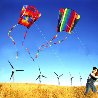 Tailored New Power Kite Qutdoor Fun Toys Parafoil Parachute Dual Line surfing Toys MR
Tailored New Power Kite Qutdoor Fun Toys Parafoil Parachute Dual Line surfing Toys MR