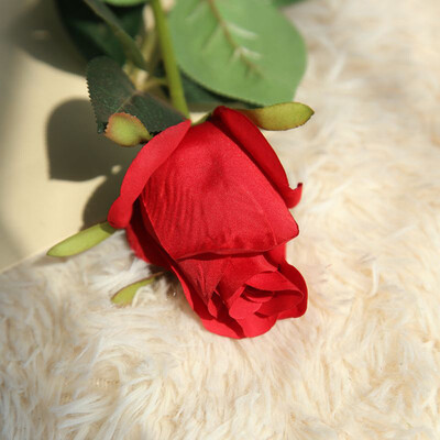 Siaonvr Artificial Fake Rose Flower Bridal Bouquet Wedding Party Long Roses Decor Beige
Siaonvr Artificial Fake Rose Flower Bridal Bouquet Wedding Party Long Roses Decor Beige