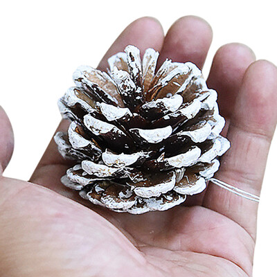 Tailored 1pcs Christmas Pine Cones Bauble Xmas Tree Party Hanging Decoration Ornament
Tailored 1pcs Christmas Pine Cones Bauble Xmas Tree Party Hanging Decoration Ornament