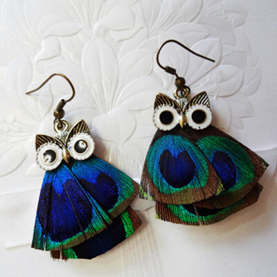 2 Bohemia Cute Animal Owl Earrings For Women Indian Peacock Feather Dangle Earrings Vintage Ethnic Jewelry
2 Bohemia Cute Animal Owl Earrings For Women Indian Peacock Feather Dangle Earrings Vintage Ethnic Jewelry