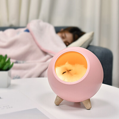 Gobestart Cat Pet House Ambience Lamp USB Charging Cute Cartoon MINI LED Night Light
Gobestart Cat Pet House Ambience Lamp USB Charging Cute Cartoon MINI LED Night Light