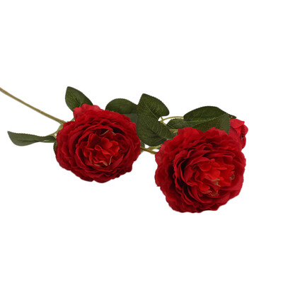 Gobestart Peony Artificial Flower Latex Real Touchs Bridal Wedding Bouquet Home Decor
Gobestart Peony Artificial Flower Latex Real Touchs Bridal Wedding Bouquet Home Decor