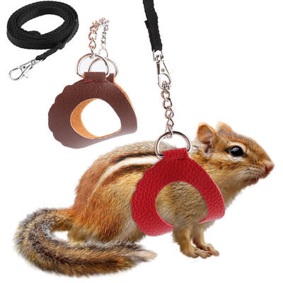 Greensen 2PCS Small Pet Outdoor Walking Harness Vest&Leash Set with Decor for Kitten Accessory
Greensen 2PCS Small Pet Outdoor Walking Harness Vest&Leash Set with Decor for Kitten Accessory