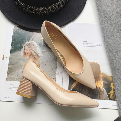 Pointed high heels Korean version fashion shallow mouth single shoes woman 2019 spring new simple foot cover full of coarse heel w
Pointed high heels Korean version fashion shallow mouth single shoes woman 2019 spring new simple foot cover full of coarse heel w
