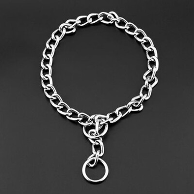 Dog Training Collar Chain Adjustable Pet Supply Metal Dog Collar Pet Supplies Trend
Dog Training Collar Chain Adjustable Pet Supply Metal Dog Collar Pet Supplies Trend