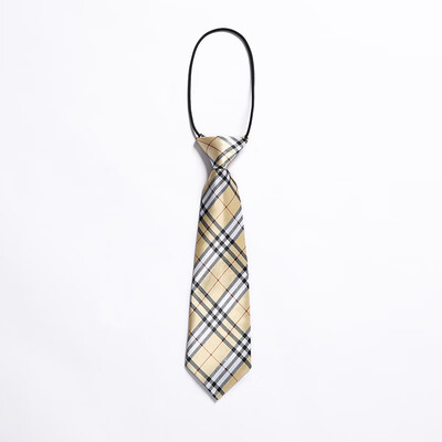 Spot tie collar flower student suit boys&girls simple bow tie children show matching school uniform
Spot tie collar flower student suit boys&girls simple bow tie children show matching school uniform