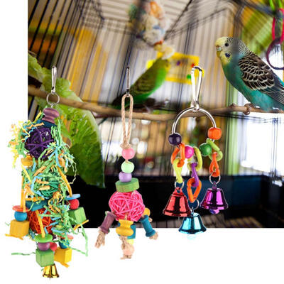 Greensen 3PCS Colorful Parrot Toys Hanging Chew Funny Toys for Birds Home Decoration
Greensen 3PCS Colorful Parrot Toys Hanging Chew Funny Toys for Birds Home Decoration