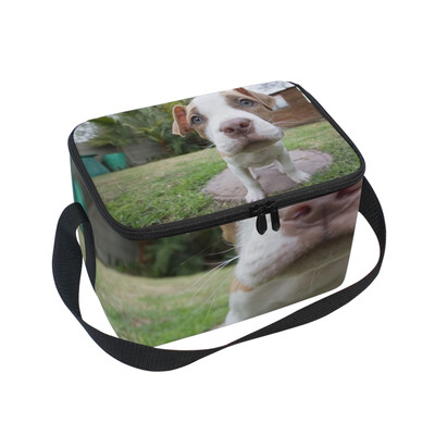 ALAZA Lunch Box Insulated Lunch Bag Large Cooler Puppy Dog Animal Canine Standing Tote Bag
ALAZA Lunch Box Insulated Lunch Bag Large Cooler Puppy Dog Animal Canine Standing Tote Bag