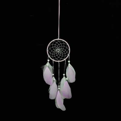 Feathers Dream Catcher Candy Colors Mini Dream Catcher Wind Chimes Car Catcher For Kid Bedroom Home Decoration
Feathers Dream Catcher Candy Colors Mini Dream Catcher Wind Chimes Car Catcher For Kid Bedroom Home Decoration