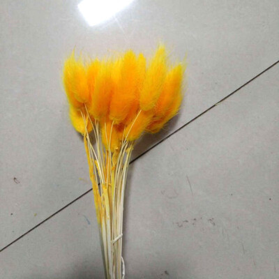 30pcslot Real Touch Artificial Flowers Wedding Decorative Flowers Natural Rabbit Tail Fake Flowers Wedding Party Decoration
30pcslot Real Touch Artificial Flowers Wedding Decorative Flowers Natural Rabbit Tail Fake Flowers Wedding Party Decoration