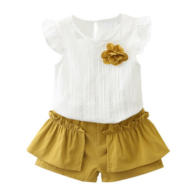 Summer Baby Girls Clothes Cute Flare Sleeve Solid Print T-shirt TopsShorts Suits 2pcs Kids Clothes Set
Summer Baby Girls Clothes Cute Flare Sleeve Solid Print T-shirt TopsShorts Suits 2pcs Kids Clothes Set