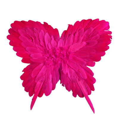 Colorful Butterfly Wings Feather Angel Wing Kids Fairy Angel Wing Stage Performance Props Cosplay Carnival Party Supplies
Colorful Butterfly Wings Feather Angel Wing Kids Fairy Angel Wing Stage Performance Props Cosplay Carnival Party Supplies