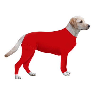 Post Operative Protection Long Sleeves Bodysuit Jumpsuit For Dogs E Collar Alternative For Recovery
Post Operative Protection Long Sleeves Bodysuit Jumpsuit For Dogs E Collar Alternative For Recovery