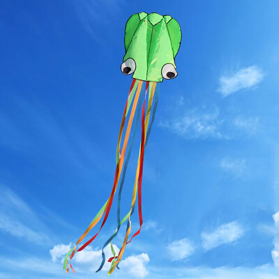 Tailored Large Octopus Long Tail Beach Kites-Perfect Toy for Kids&Adults Outdoor Game
Tailored Large Octopus Long Tail Beach Kites-Perfect Toy for Kids&Adults Outdoor Game