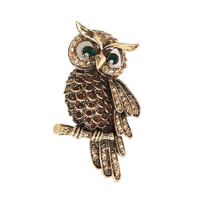 Vintage Owl Brooch Scarf Clip Crystal Brooches Pin Broches Jewelry for Women Lady Sweater Hats Buckles
Vintage Owl Brooch Scarf Clip Crystal Brooches Pin Broches Jewelry for Women Lady Sweater Hats Buckles