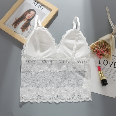 Women Lace Anti-Exposure Bottoming Beauty Back Solid Color Embroidery Triangle Cup Bra
Women Lace Anti-Exposure Bottoming Beauty Back Solid Color Embroidery Triangle Cup Bra