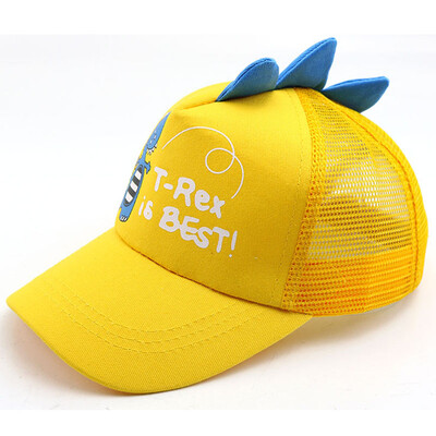 Male Female Primary Cecondary School Students Outdoor Activities Small Dinosaur Pattern Sunshade Breathable Mesh Cap Sun Hat
Male Female Primary Cecondary School Students Outdoor Activities Small Dinosaur Pattern Sunshade Breathable Mesh Cap Sun Hat