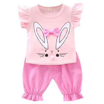 Baby Girl Clothes 2019 Hot Summer New Girls Clothing Sets Rabbit Pattern T-shirt TopsShorts Suits Casual Outfits Sets
Baby Girl Clothes 2019 Hot Summer New Girls Clothing Sets Rabbit Pattern T-shirt TopsShorts Suits Casual Outfits Sets