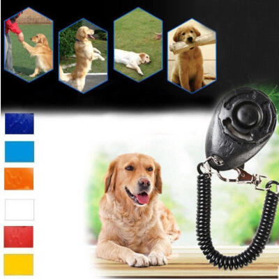Puppy Button Dog Pet Clicker Click Obedience Training Strap Dog Training Whistle Pet Training Clicker Adjustable Pet Dog Train
Puppy Button Dog Pet Clicker Click Obedience Training Strap Dog Training Whistle Pet Training Clicker Adjustable Pet Dog Train