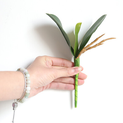 Gobestart Artificial Orchid Phalaenopsis Leaves Potted Plant Leaf Home Office Decor 1PC
Gobestart Artificial Orchid Phalaenopsis Leaves Potted Plant Leaf Home Office Decor 1PC