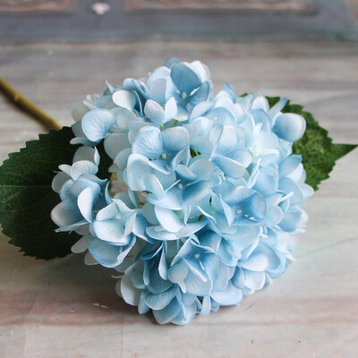 Simulation of a single French Hydrangea Single Cloth Plants Artificial Flower for wedding
Simulation of a single French Hydrangea Single Cloth Plants Artificial Flower for wedding