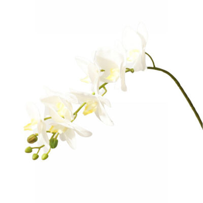 Creative Leaves Branch Artificial Flower Arrangement Fake Foam Flowers Living Room Bedroom Wedding Decoration1
Creative Leaves Branch Artificial Flower Arrangement Fake Foam Flowers Living Room Bedroom Wedding Decoration1