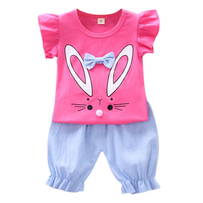 Baby Girl Clothes 2019 Hot Summer New Girls Clothing Sets Rabbit Pattern T-shirt TopsShorts Suits Casual Outfits Sets
Baby Girl Clothes 2019 Hot Summer New Girls Clothing Sets Rabbit Pattern T-shirt TopsShorts Suits Casual Outfits Sets