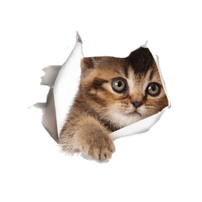 Cat Vivid 3d Smashed Switch Wall Sticker Bathroom Toilet Kitchen Decorative Decals Funny Animals Decor Poster Pvc Mural Art
Cat Vivid 3d Smashed Switch Wall Sticker Bathroom Toilet Kitchen Decorative Decals Funny Animals Decor Poster Pvc Mural Art