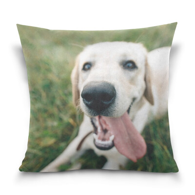 ALAZA Throw Pillow Case Decorative Pillow Covers 16 X 16 inch Funny Dog Labrador Pattern Pillowcase
ALAZA Throw Pillow Case Decorative Pillow Covers 16 X 16 inch Funny Dog Labrador Pattern Pillowcase