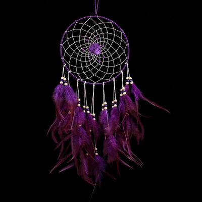 Dream Catcher Decor Feather Pendant wall hanging home decoration Gift attrape reve indien
Dream Catcher Decor Feather Pendant wall hanging home decoration Gift attrape reve indien