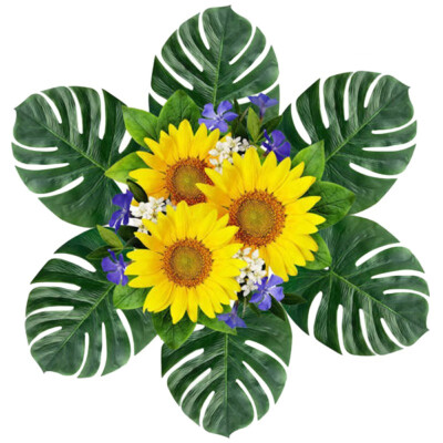 Dropshipper 12PCS Green Jungle Plants Artificial Leaf Tropical Palm Leaves Simulation Plant Wedding Party Table Home Decor
Dropshipper 12PCS Green Jungle Plants Artificial Leaf Tropical Palm Leaves Simulation Plant Wedding Party Table Home Decor
