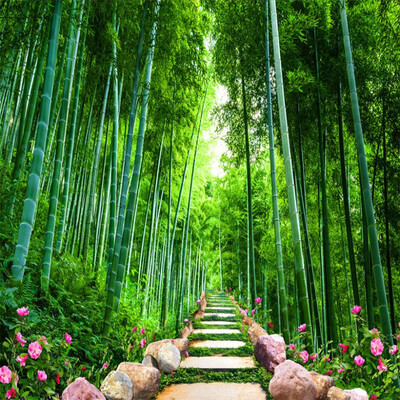 Custom Photo Wall Mural Wallpaper Bamboo Forest Stone Road 3D Stereo Living Room Sofa TV Backdrop Home Decor Wallpaper For Walls
Custom Photo Wall Mural Wallpaper Bamboo Forest Stone Road 3D Stereo Living Room Sofa TV Backdrop Home Decor Wallpaper For Walls