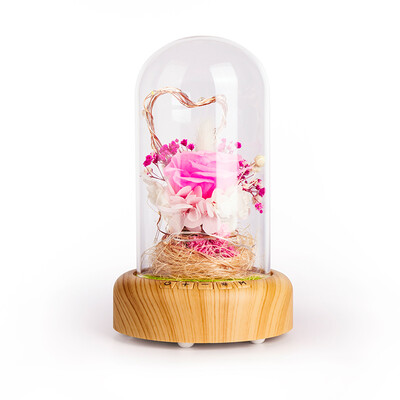 Tropical forest Mid-Autumn Festival gift for family birthday gift for girlfriend wife wife girlfriends creative gift vibrating with the streamer wishing bottle night light Bluetooth stereo speaker eternal flower
Tropical forest Mid-Autumn Festival gift for family birthday gift for girlfriend wife wife girlfriends creative gift vibrating with the streamer wishing bottle night light Bluetooth stereo speaker eternal flower